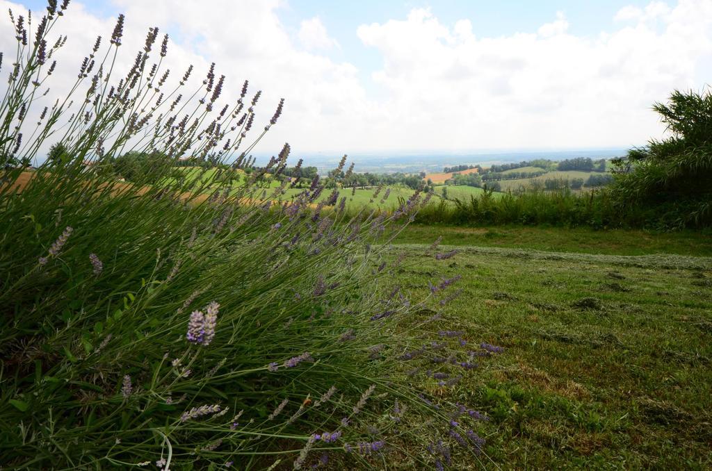 Agriturismo Agronauta Villa Piozzano Exterior foto